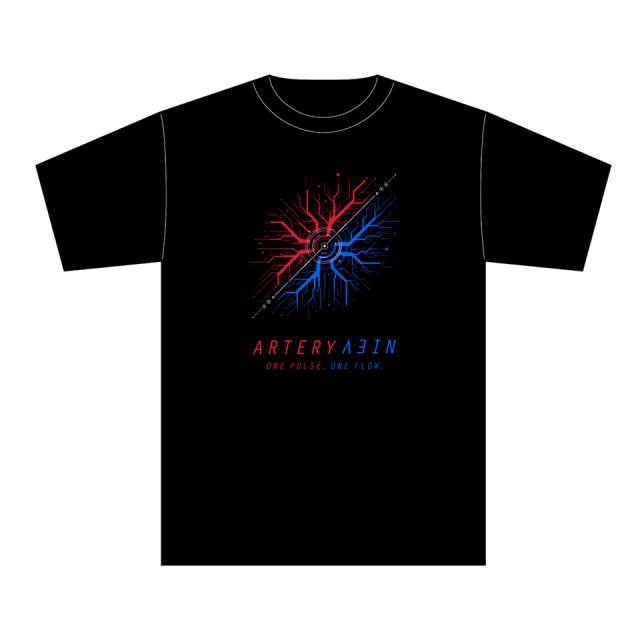 Artery Vein / Human