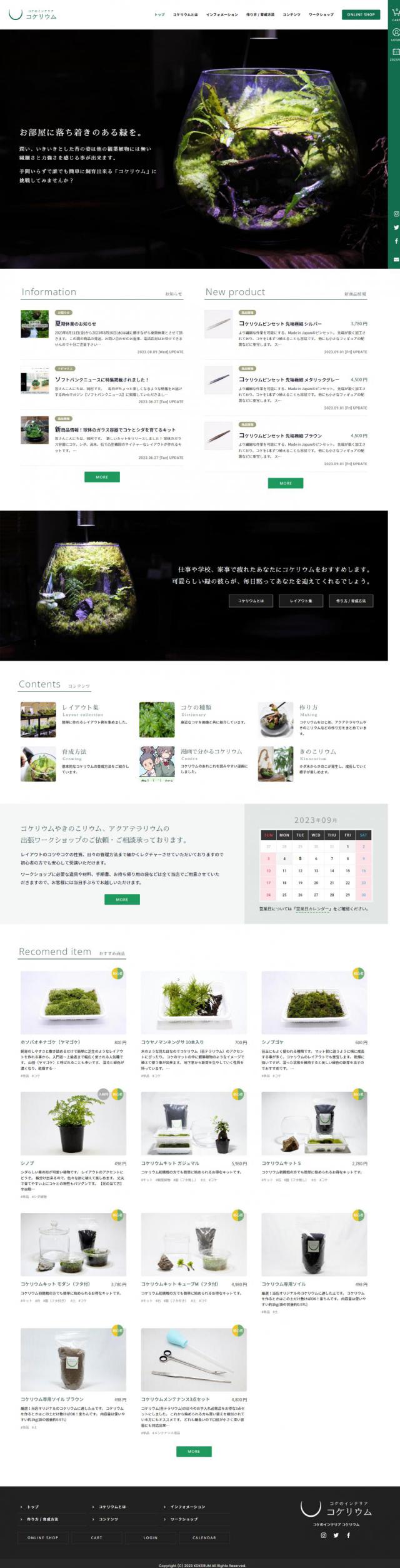 苔（コケ）のインテリア コケリウム